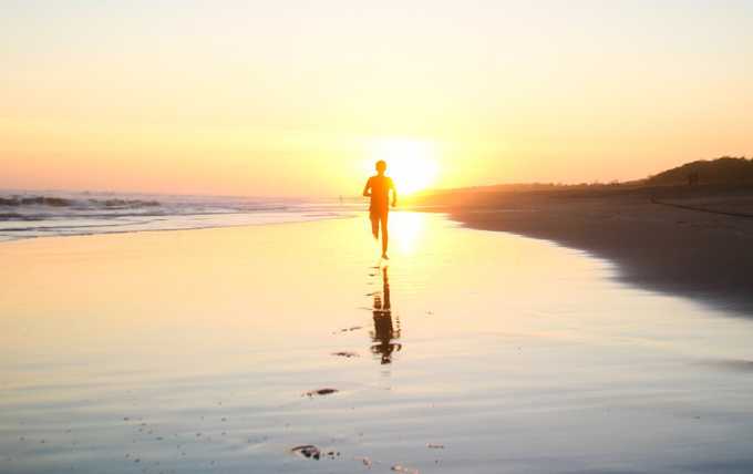 Den ultimative metakognitive intro til begynderen – og den er slet ikke så tosset